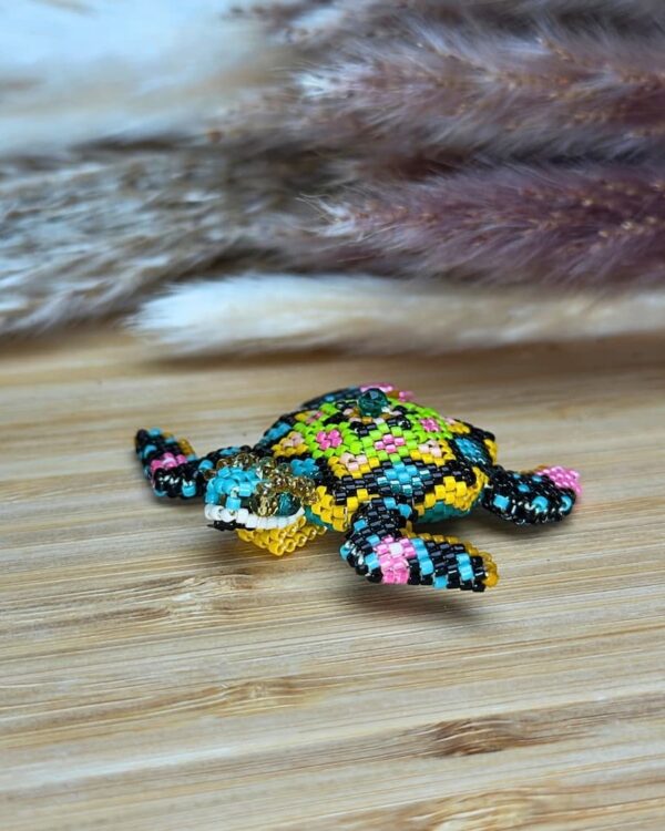 tortuga-jociva-accesorios-para-mujer-principal